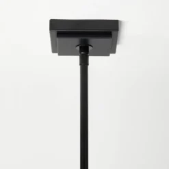 4-Arm Chandelier With Trim Shades Black - Threshold™ Designed With Studio McGee -Adesso Sales Store GUEST 0b777e6f 6c92 4224 8640 b8d1db7fe081